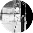 broken-window